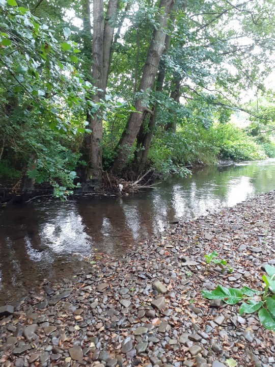 Low water on the Arrow - JA from Leominster